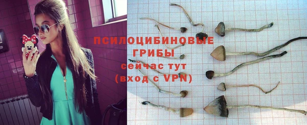 соль курить ск Беломорск