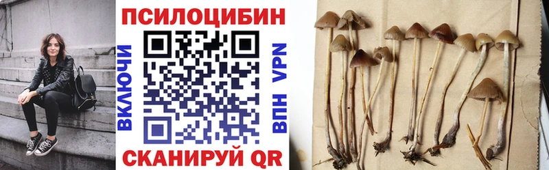 Галлюциногенные грибы прущие грибы  Покровск 